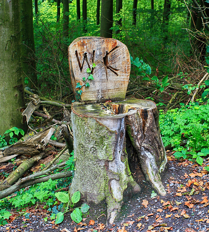 Tree stump WC tile 680x750 Tree stump WC tile 680x750